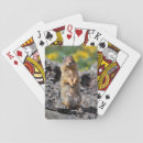 Search for danita delimont playing cards montana