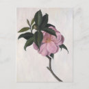 Search for camellia postcards Leaves
