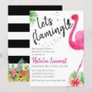 Search for lets flamingle Summer