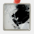 Search for antarctica christmas tree decorations Cold