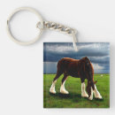 Search for draught key rings Clydesdale
