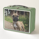 Search for bulldog lunch boxes Pet