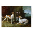 Search for levrier Pet
