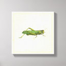 Search for insects art Green