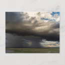 Search for wildebeests postcards Kenya