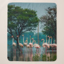 Search for greater Animals