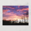 Search for yellow sky postcards Sunset