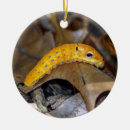 Search for yellow butterflies christmas tree decorations White