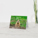 Search for prairie dog cards Cute