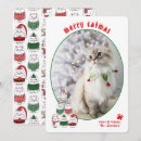 Search for cat lovers christmas cards Animal lover