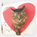 Search for grumpy cat stickers Fluffy