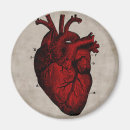 Search for diagram magnets Anatomy