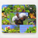 Search for cotton mousepads Botanical