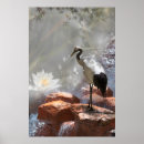 Search for longevity posters Cranes