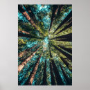 Search for looking up posters Nature
