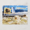 Search for mammoth hot spring Geyser