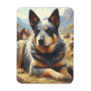 Search for australian rectangular magnets Retro