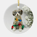 Search for aussie christmas tree decorations Merle