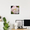Search for tuber Floral