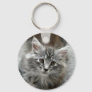 Search for maine coon key rings Kitten
