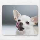 Search for anticipation mousepads Animal