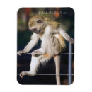 Search for slogans magnets Cute