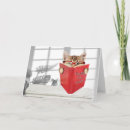 Search for red cat cards Tabby