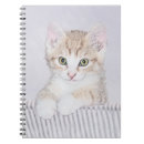 Search for tabby cat notebooks Orange