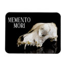 Search for skull bones magnets Scary