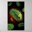 Search for cell biology posters Protein