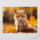 Search for fantastical postcards Animal