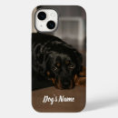 Search for rottweiler dog iphone cases Puppy