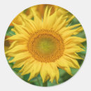 Search for floral photograph stickers Garden