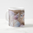 Search for baby kitten mugs Sleeping