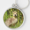 Search for geese key rings Animals