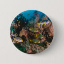 Search for aquatic badges Marine life