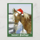 Search for equine christmas cards Xmas