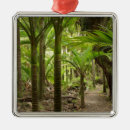 Search for rain christmas tree decorations Beautiful
