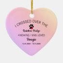 Search for crossing rainbow bridge Pet loss
