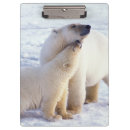Search for environment clipboards Alaska