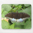 Search for tropical butterflies mousepads Butterfly