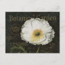 Search for french decor postcards Flowers
