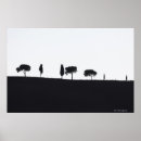 Search for tuscany posters Photography