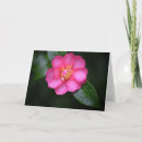 Search for after cards Pink