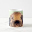 Search for lop mugs Rabbits