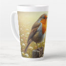 Search for robins mugs Wildlife