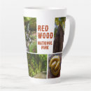 Search for redwoods mugs Hiking