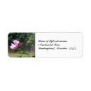 Search for monarch return address labels Pink