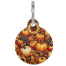 Search for halloween pet supplies Fall