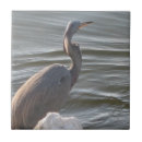 Search for blue heron tiles Water